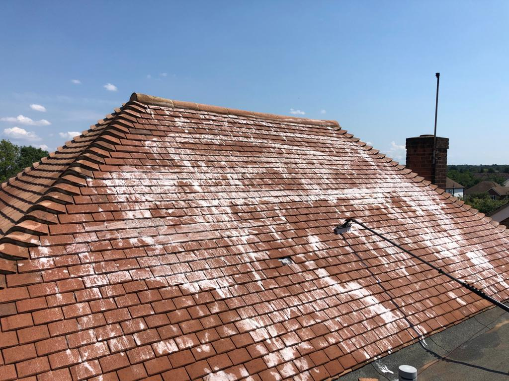 Roof cleaning